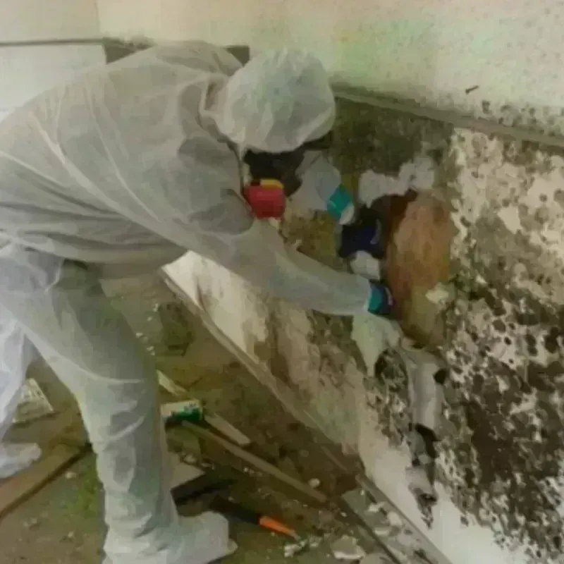 Mold Remediation and Removal in Fort Belknap Agency, MT